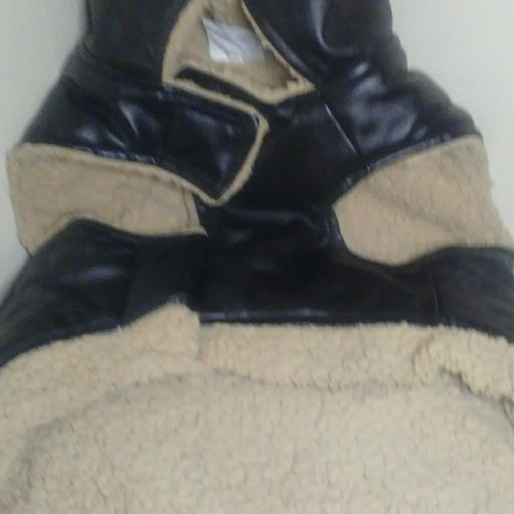 "Born To Ride"-- Medium Dog Coat - Picture 3 of 5